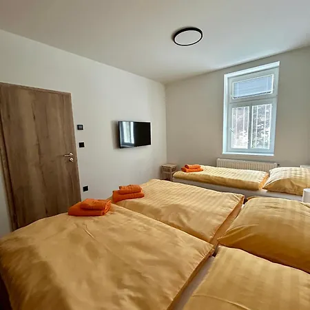 Vila Silva Karlova Studánka Room photo